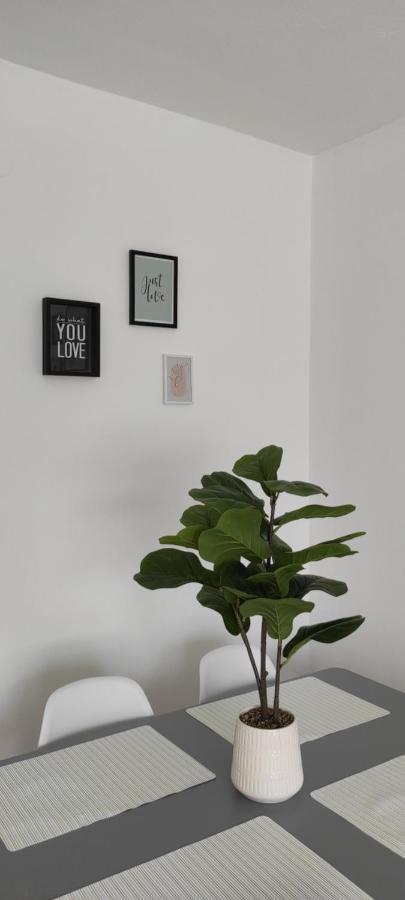 Ljig Vikend House 빌라 외부 사진