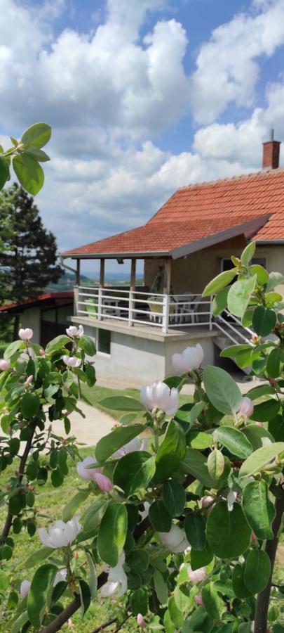Ljig Vikend House 빌라 외부 사진